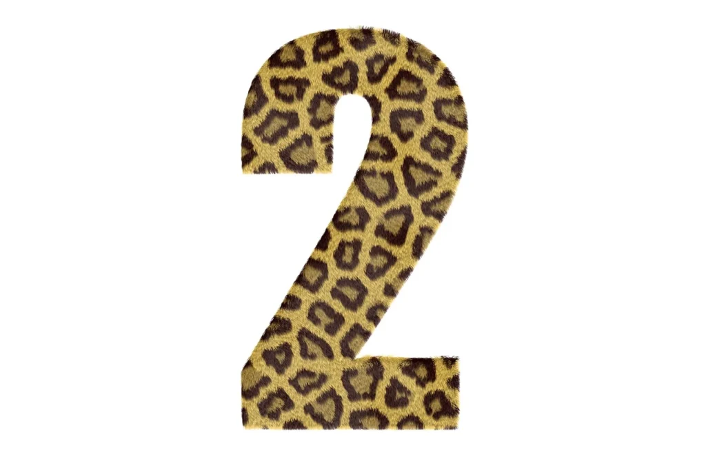 Numerology Number 2